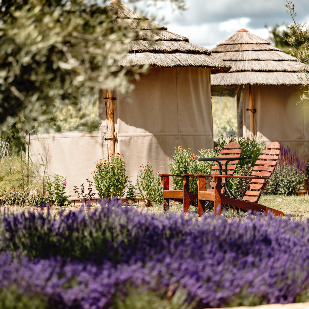 BreezeHouseUK's tweet photo. The beauty of Spring 🌻💮

📷 @KentonParkWines https://t.co/nztL2cF26f