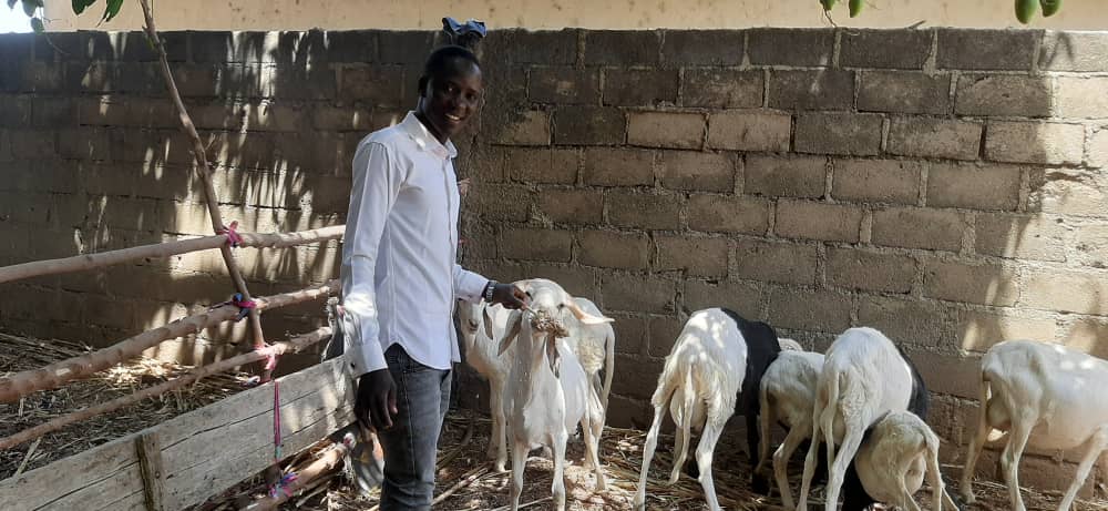 SAHEL ENTREPRENEUR tweet media