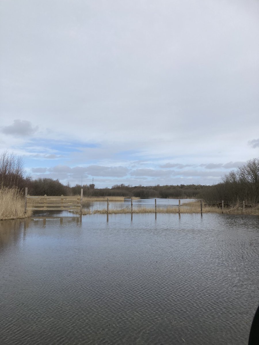 In de natte duinvalleien in de van Dixhoorndriehoek is het goed nat. Erg? Nee hoor. Straks weer prachtige vegetatie te zien die er thuis hoort.#regiokuststreek <a href="/ZHLandschap/">Zuid-Hollands Landschap</a> <a href="/HoekvanHolland/">hoekvanholland</a>