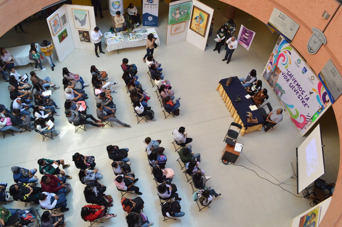 PROPAEO_OAX's tweet photo. En representación de la #PROPAEO la Coordinadora @gbmexicano_ asistió al Foro "Salvemos la vida silvestre" organizado por la @UABJO y la Red Global de Jóvenes por la Biodiversidad Capítulo #México. Es muy alentador saber que la juventud se ocupa por el cuidado del ambiente. https://t.co/U6UvC10Iah