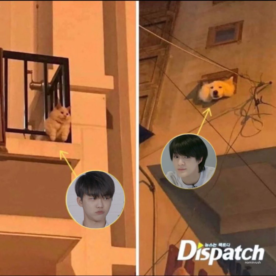 : เตน่อวันนิกิมยายัง

: กิมตู้ยาไปแนะ