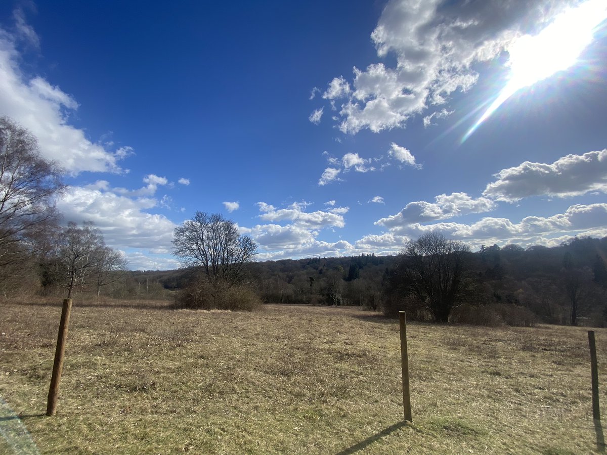 BCConservators's tweet photo. There was something big and beautiful burning brightly above #ParkDowns today!
It got us excited for spring and all that our south-facing chalk slope brings ๐ฆโ๏ธ๐ธ๐ผ๐ฆ
@Love_plants @Buzz_dont_tweet @savebutterflies @SurreyBirdNews @reigatebanstead https://t.co/8E5ZZbkCUb
