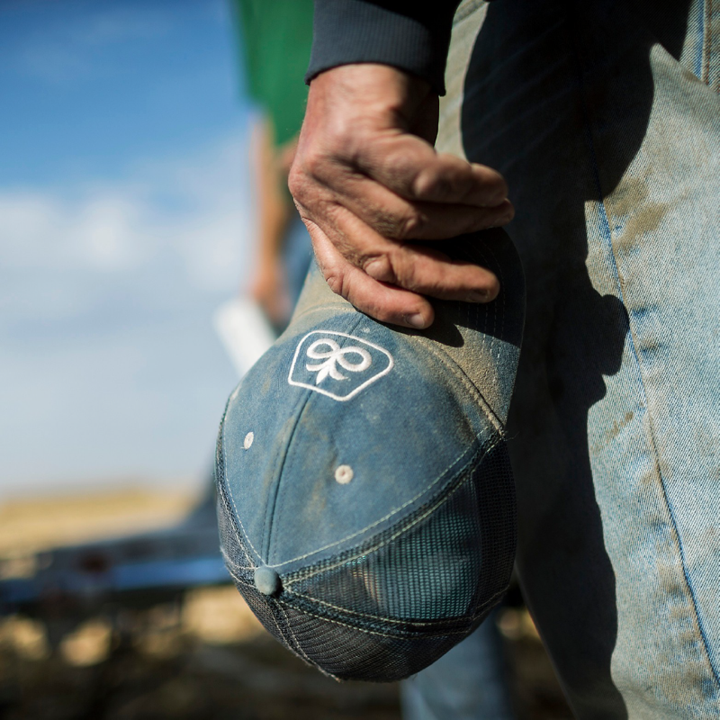 PioneerSeedsCA's tweet photo. We’re back with another chance to win! Whether it’s your seed, your Pioneer Rep or your swag, share a pic of how Pioneer shows up on your farm as you prep for #Plant23. You’ll be entered to win a $500 credit at our online store. #CdnAg