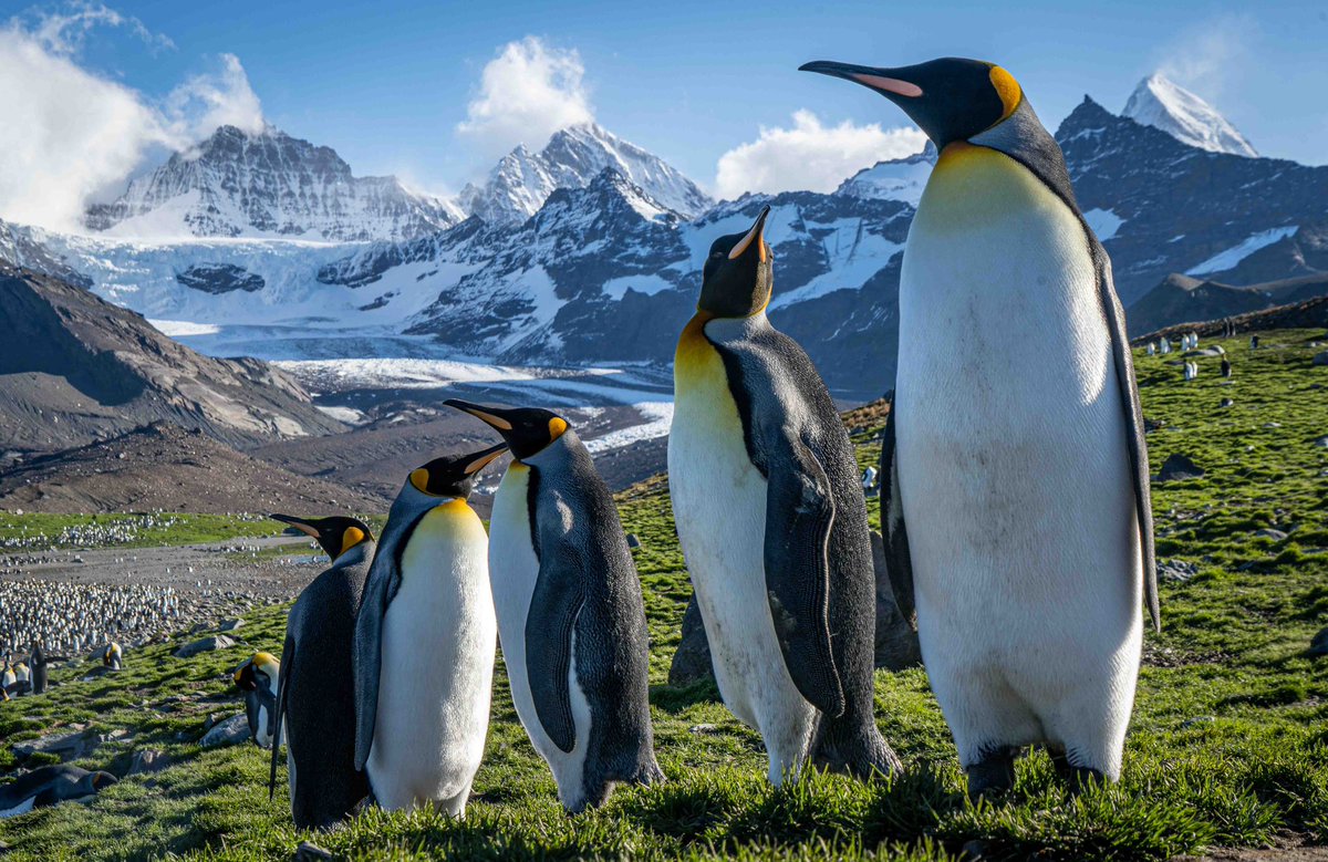 Jamie coleman tweet media