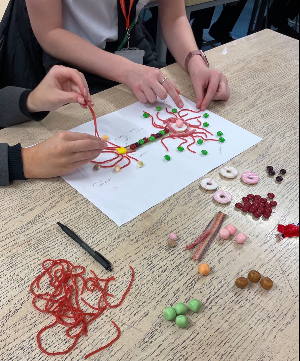 NBHSpsychealth's tweet photo. Superb work from our fabulous Y11 Psychos! Making neurons out of sweets and biscuits, a great retrieval activity for the Brain and Neuropsychology https://t.co/jnW3rQo6LQ