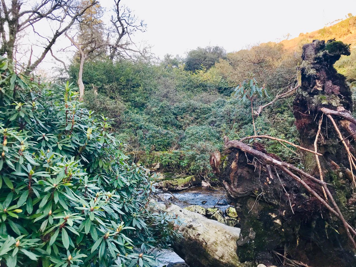 Guy Shrubsole tweet media