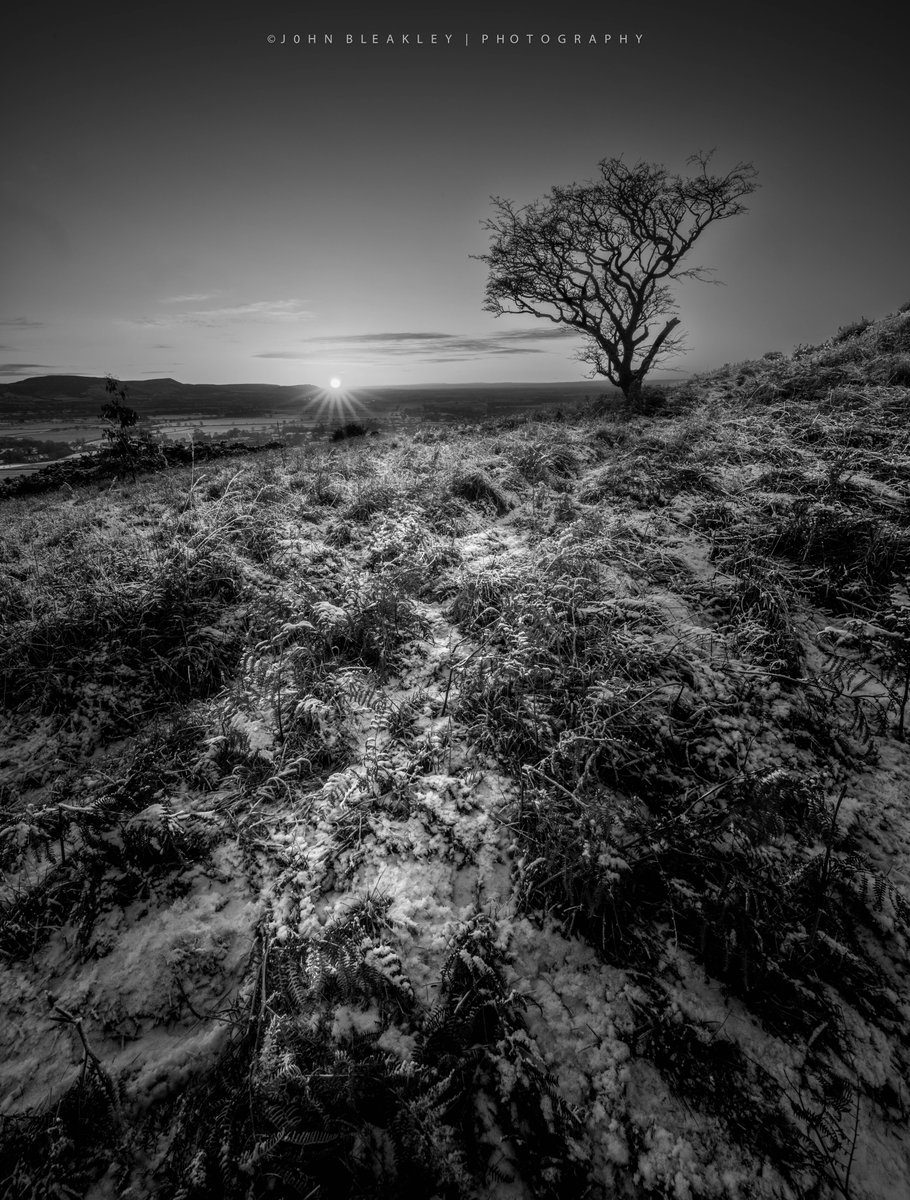 Yorkshire sunset, the last of the snow,......maybe? Kit Nikon Z7. @StormHour @ThePhotoHour @UKNikon @CPRE_NEY @northyorkmoors @VNYorkshire #yorkshire #northyorkshiremoors #tree #lonetree #mono #sunset
