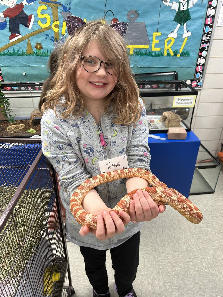 Mrs. Murphy’s Class tweet media