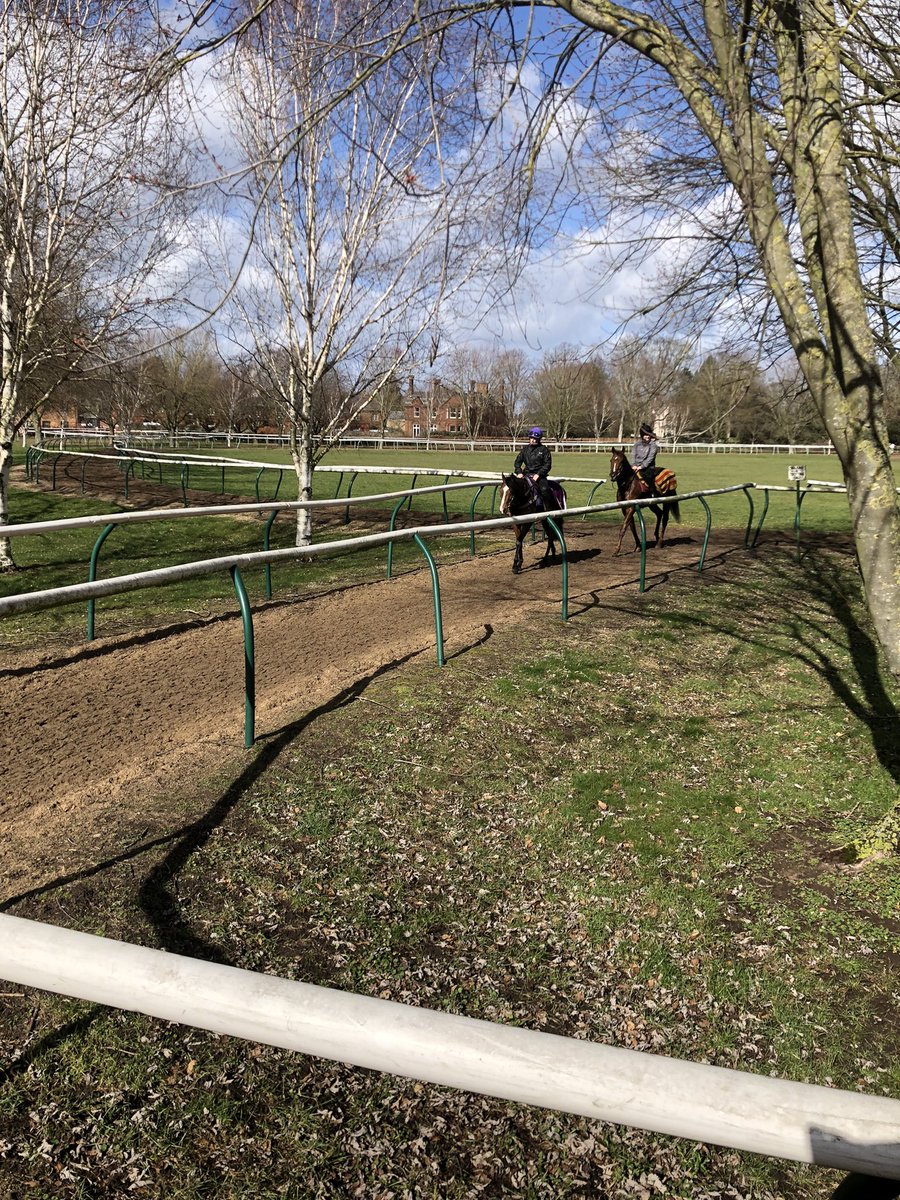 SPearce_Racing's tweet photo. Hanoverian King and Red Evelyn out on the Heath this morning! Thankfully the sun appeared! #newmarket #racehorses #training #spear eracing #horseracing #sunshine #severals #newmarketgallops @NewmarketGallop https://t.co/LqZxGngC3j