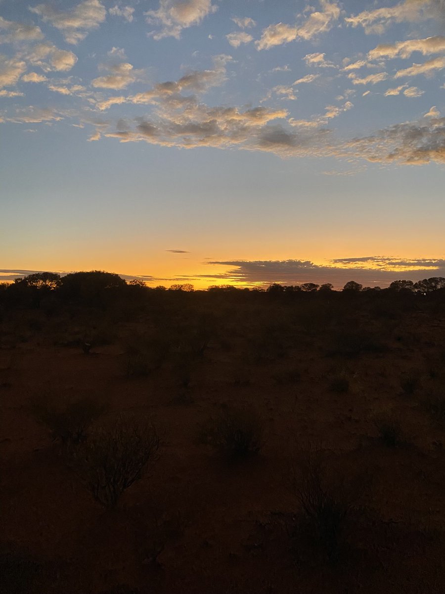 Tom Lawrence | Coach tweet media