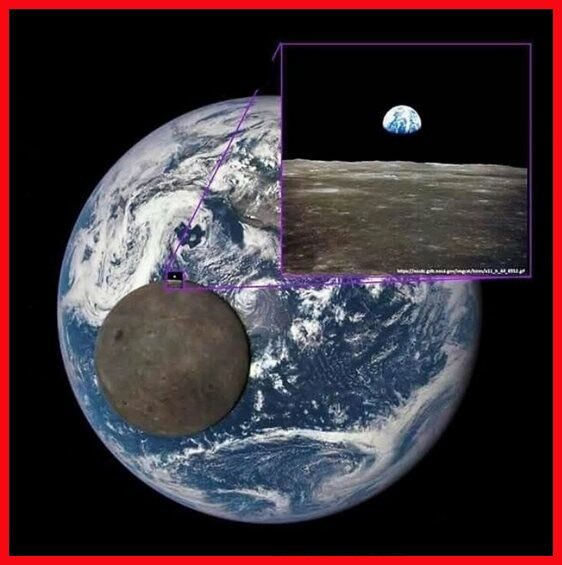 THE LOST BOOK PROJECT tweet media