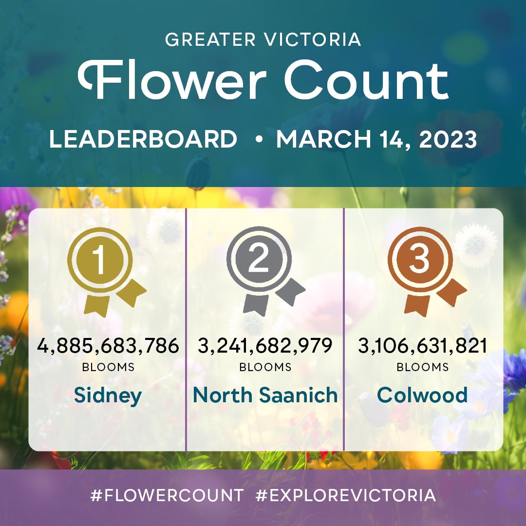 With 24 hours left to go in this year’s #FlowerCount, Sidney by the Sea remains in the lead with nearly 5 billion blooms counted! 💐⁣⁣
⁣
Make sure to visit the link in our bio and submit your count before tomorrow’s 3:00pm deadline 🌹 #ExploreVictoria⁣