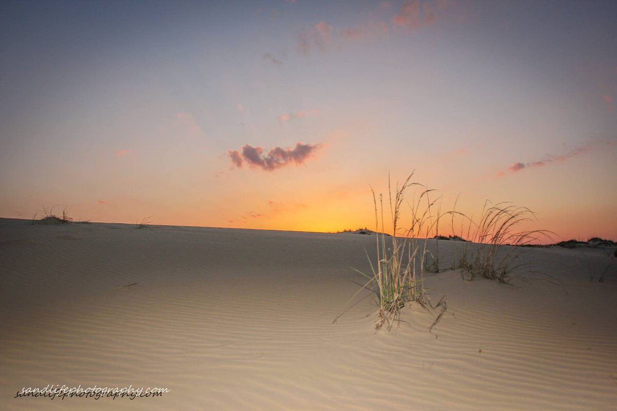 Life on the OBX of NC #outerbanksnc
sandlifephotography.com