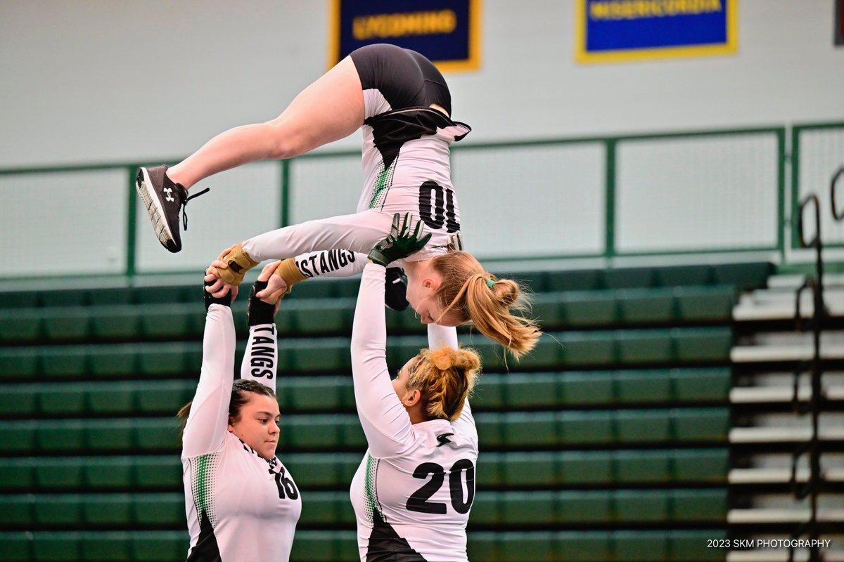 Stevenson University Mustangs tweet media