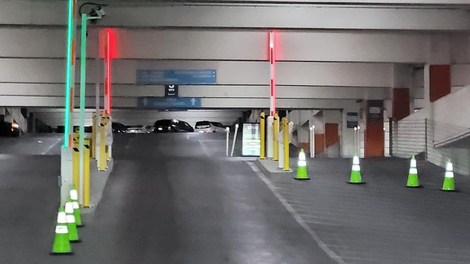 Vital Vegas tweet media