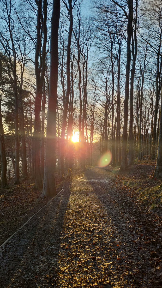 Still enough daylight for a walk after work 😍🌄 #SpringIsComing