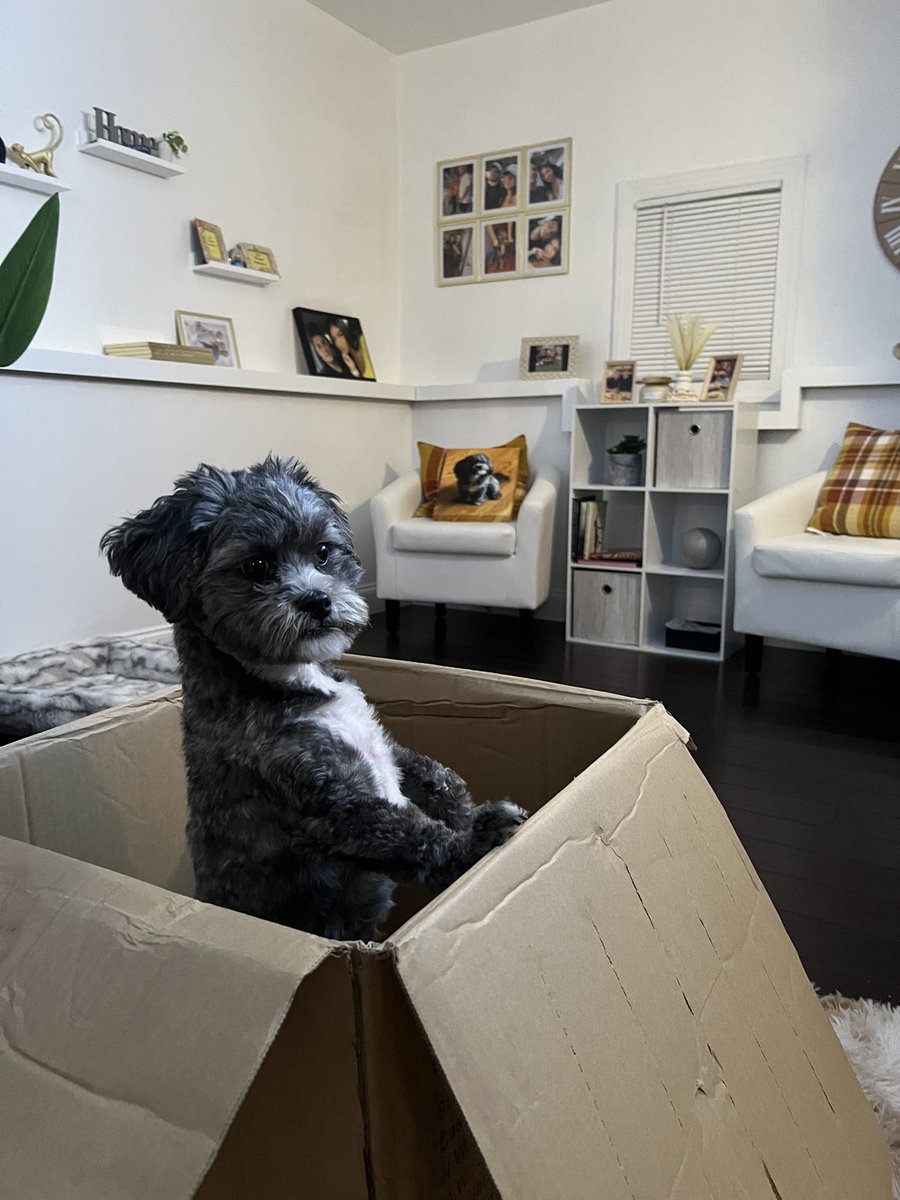 Had a cute package come in today 🐶