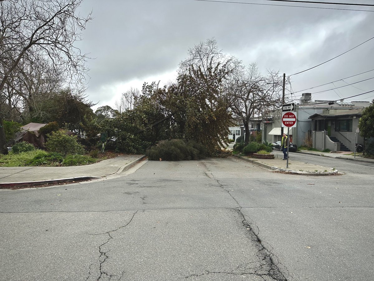Large tree has been laying across Powell St. in Emeryville all afternoon. #CaliforniaStorms @TheEvilleEye