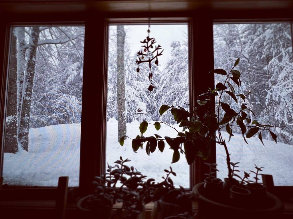 adrndack's tweet image. Thankful for remote work. And for this view from the kitchen window. #adirondacks #mountainlife #snowstorm #bethankful #homesteading instagr.am/p/CpyZJCWpHwV/