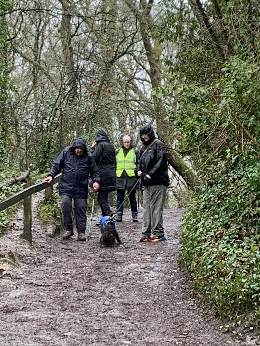 WalkingWorksWonders tweet media