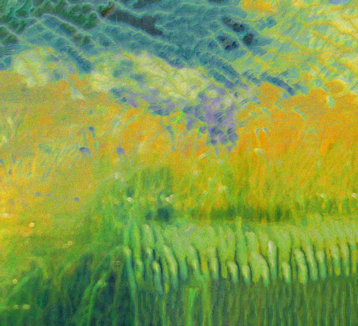 Lucy Benson tweet media