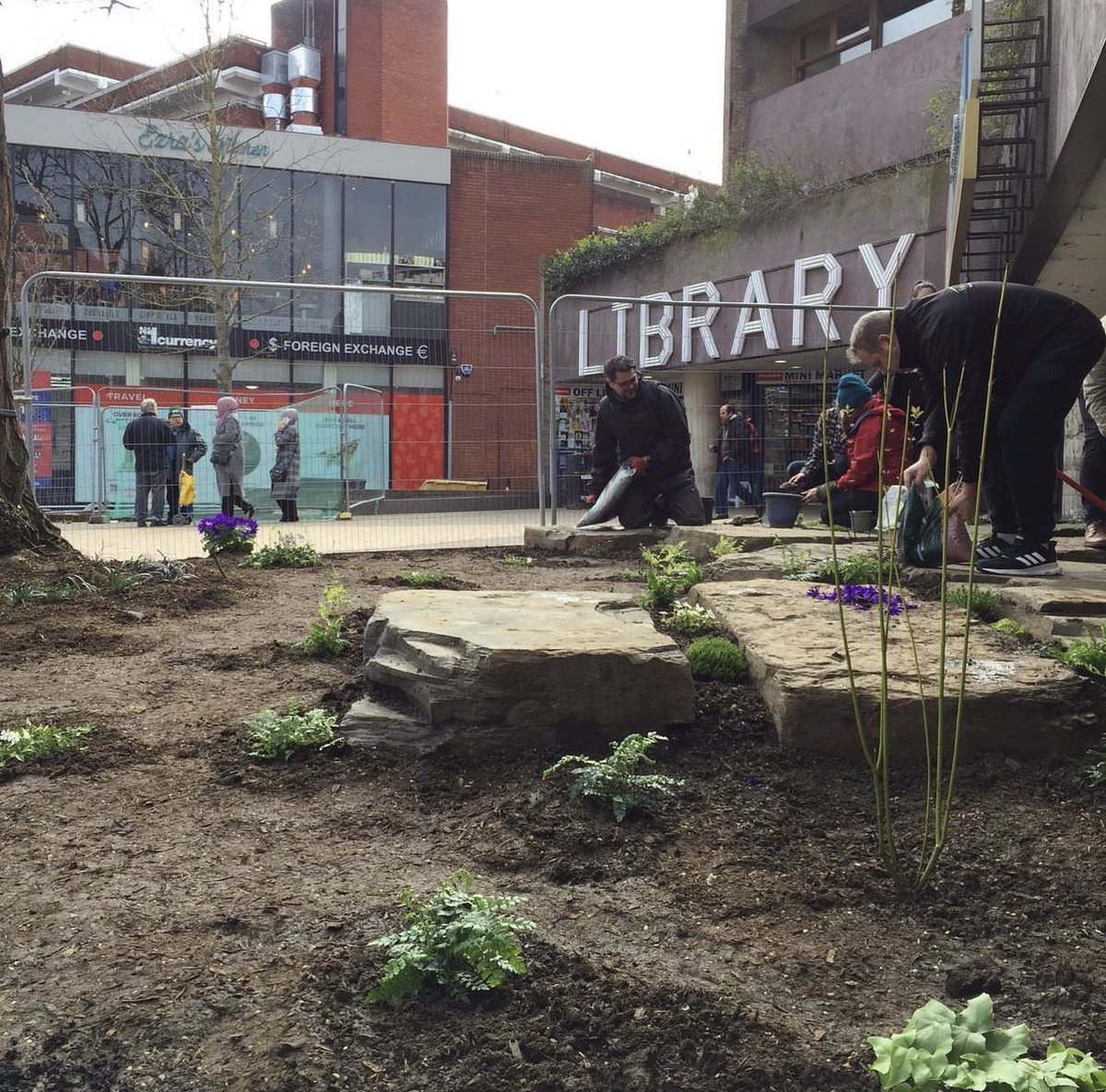 The #LibraryGarden at Wood Green Library has turned three years old today! Thank you to everyone whom has helped us with this project over the years 🎉🥳🌱🌿 💚 @EnjoyWoodGreen