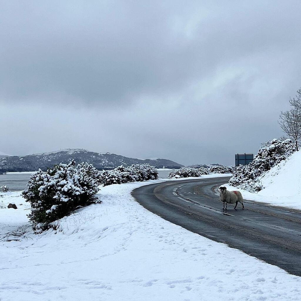 corranlight's tweet image. Fortunately, not much traffic on the road this morning instagr.am/p/Cpx7SWlNLR8/