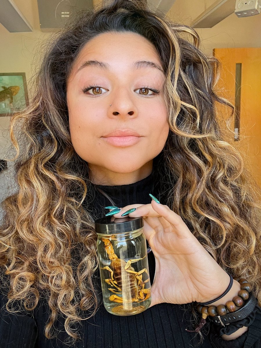 Y a r a • يارا • Hectic Skeleton tweet media