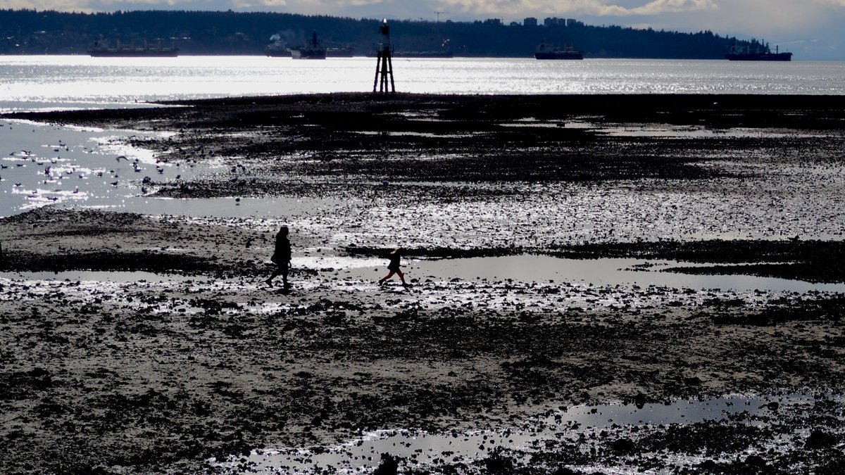 Ambleside at low tide #WestVancouver #NorthVancouver