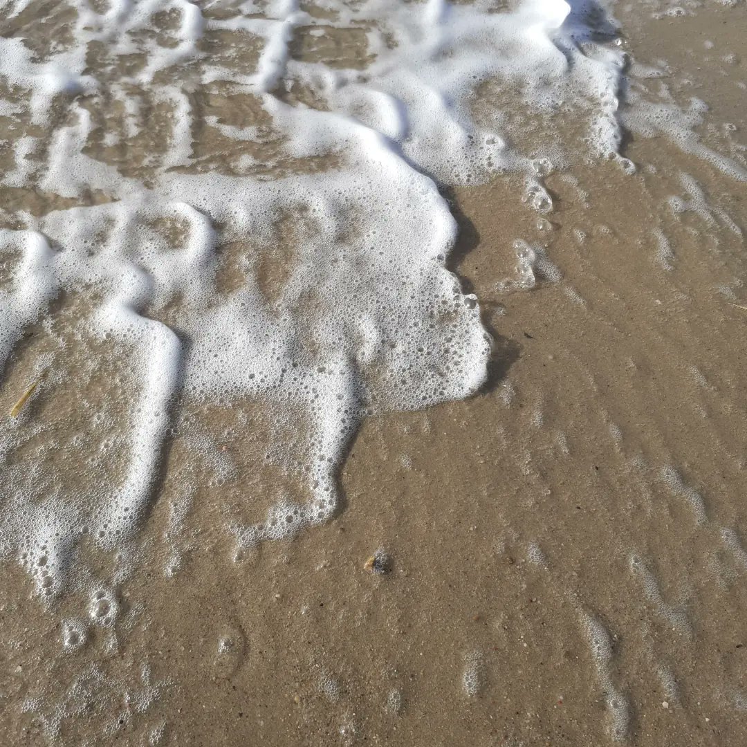 megabiggiii's tweet photo. Hundeurlaub an der Nordsee ist vorbei, Merci mag das Watt und das Salzwasser😅😍 https://t.co/fN1ELuNz7O