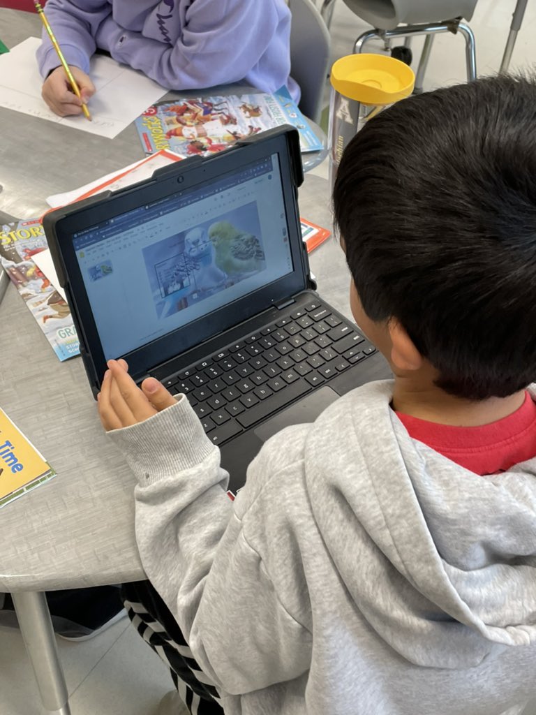 Nicole Hertel tweet media