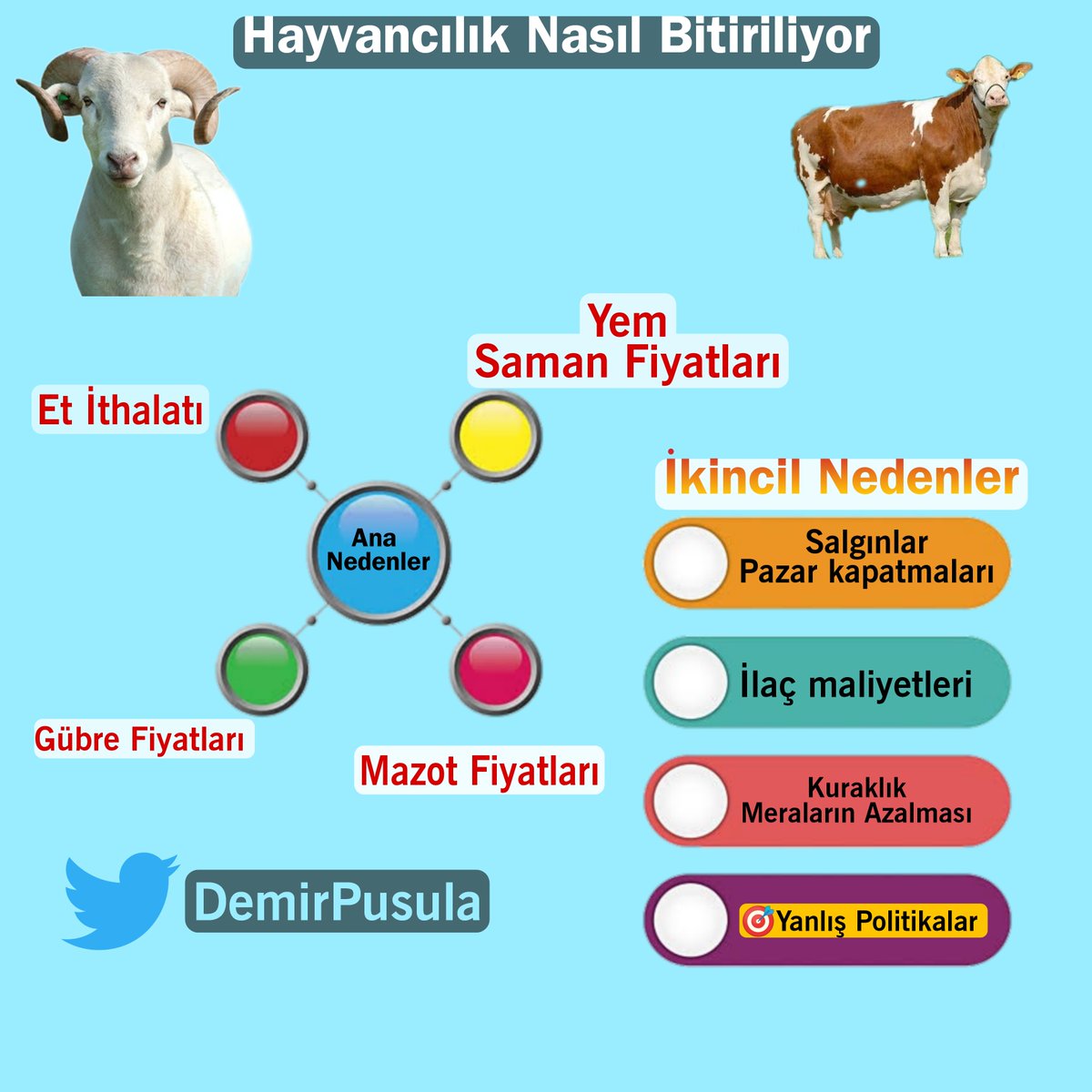DemirPusula's tweet photo. 🇹🇷Türkiye'de Hayvancılık Nasıl Bitiriliyor?
⏳20 yıl çiftçilik, hayvancılık ve çobanlık yapmış biri olarak yaşanılanları anlatacağım.
Köyler nasıl başaldı, üreticiden tüketici nasıl olduk. 
⚠️Ülkenin başına örülen planlı ve örtülü bir operasyonu kısaca anlatıcağım. Başlayalım. https://t.co/PuuBCExT2i