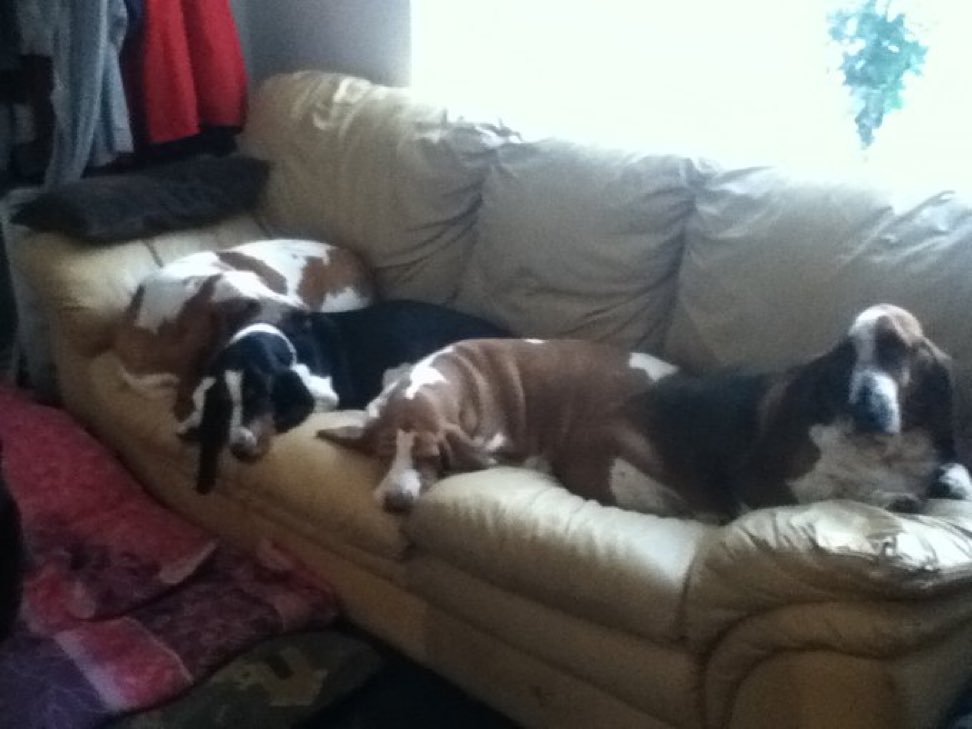 Phil Sledge tweet media