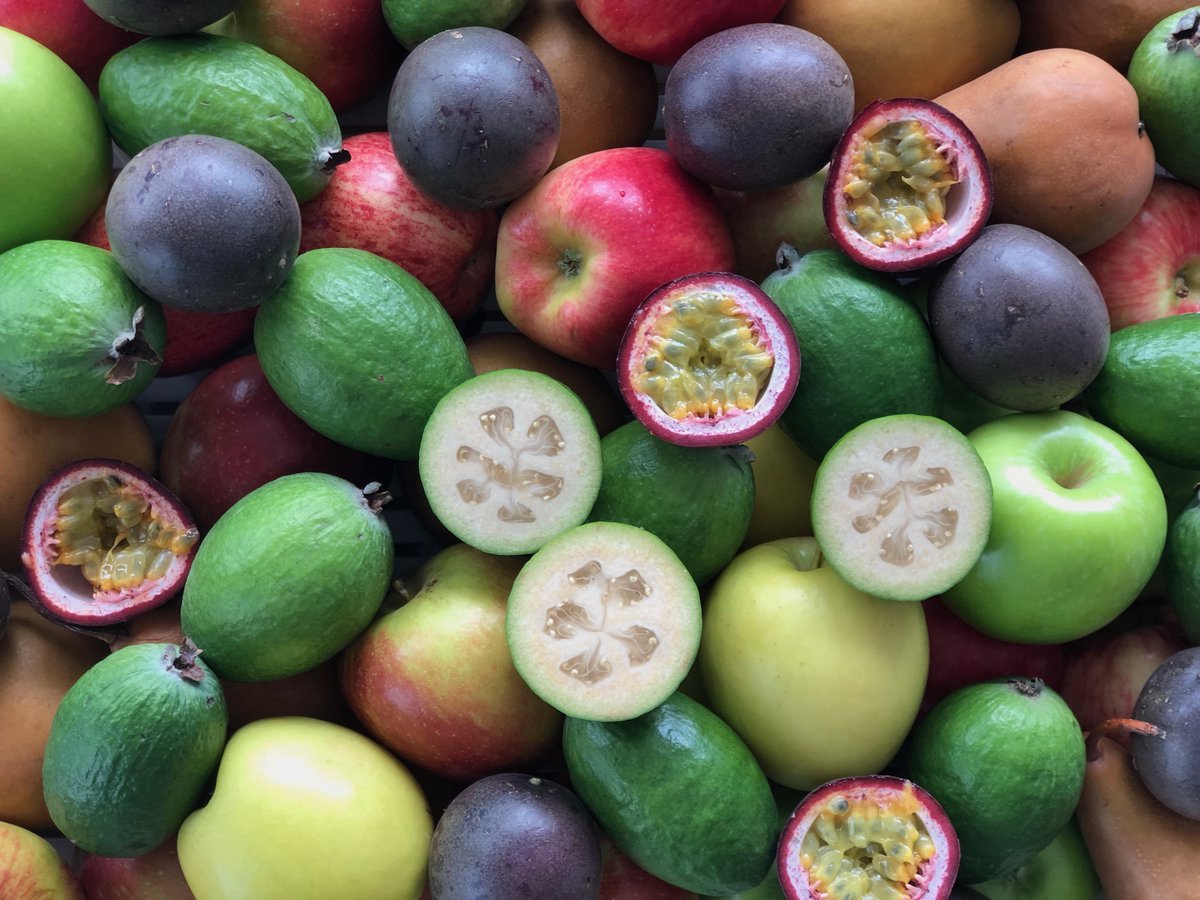 United Fresh NZ Inc. tweet media