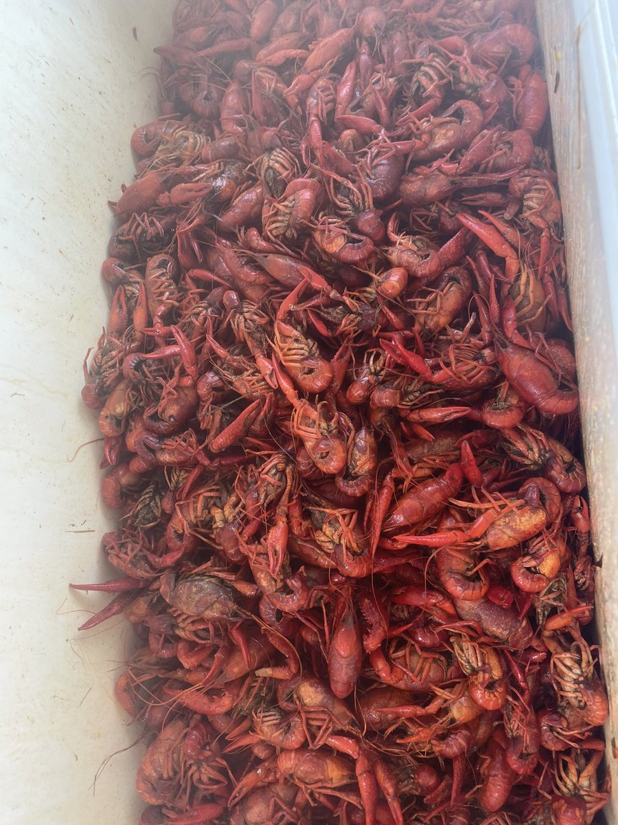 THIS FRIDAY🥳 

Y’all come celebrate St. Patrick’s Day and <a href="/ZachRomo/">Zach Romo</a> ‘s birthday with some Crawfish and live music🤘🏼 

This one’s gonna be a party🔥