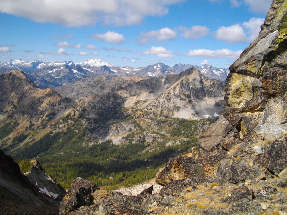 Forest Service NW tweet media