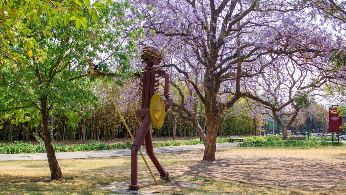 ChapultepecCDMX's tweet photo. ¡Es temporada de #Jacarandas en el Bosque de Chapultepec! 

Cada año, su floración tiñe a la Segunda Sección de un color lila, anticipando la llegada de la primavera ☀️ https://t.co/81rzNdkdlc
