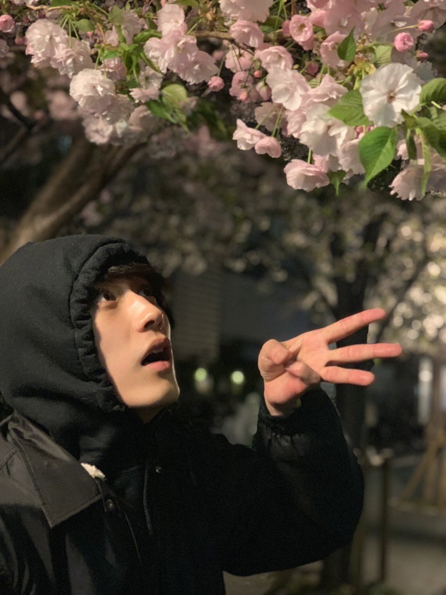 sukinoyosuke's tweet photo. 오랜만에 옛날 사진들 보러 갤러리 들어갔다가 좋아했던 사진 ��참 쓰다듬고 오기 .. 🥹 마네쯔부 .. 열심히 봐야지 https://t.co/Od64SFKWB3