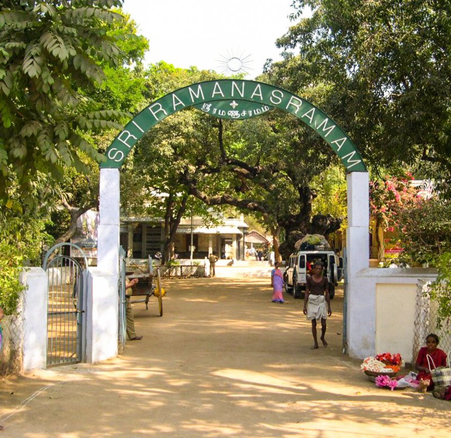 PocketSights tweet media