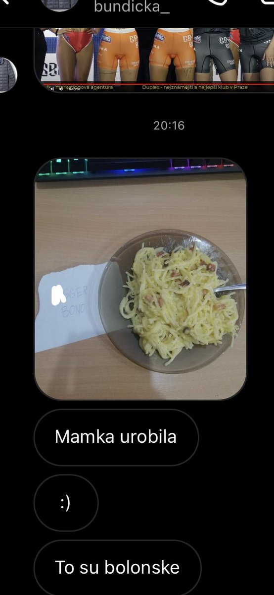 Tohle sem prostě musim odložit..