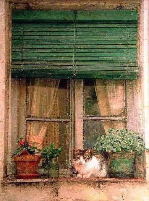 GiulianaMorett's tweet photo. #VintageWindow #AlteFenster https://t.co/8u8rQq5ieA