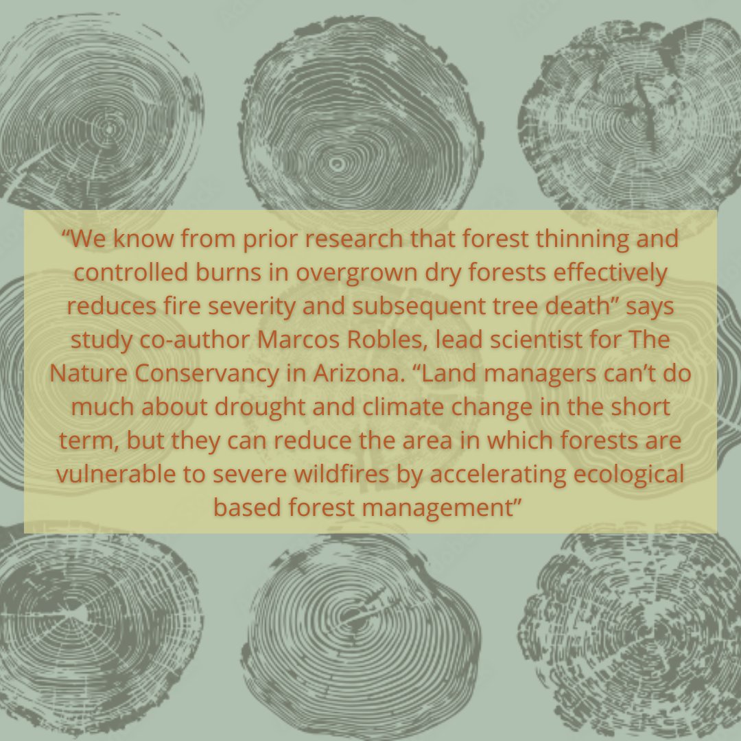NEW PUBLICATION: This study provides timely information to optimize new state and federal initiatives to increase the pace of ecologically based forest management across millions of acres of Western forests: pnas.org/doi/10.1073/pn…