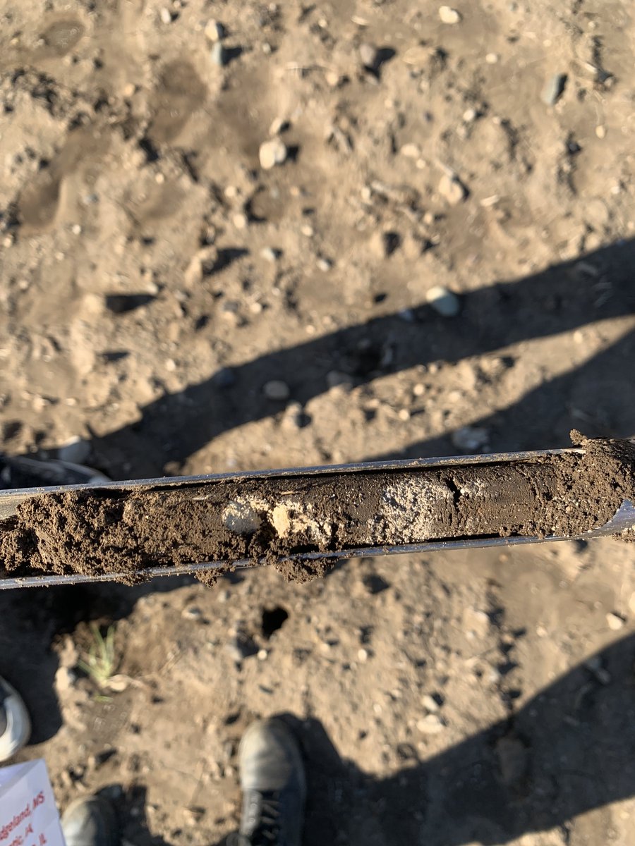 Dr. Alison Marklein tweet media