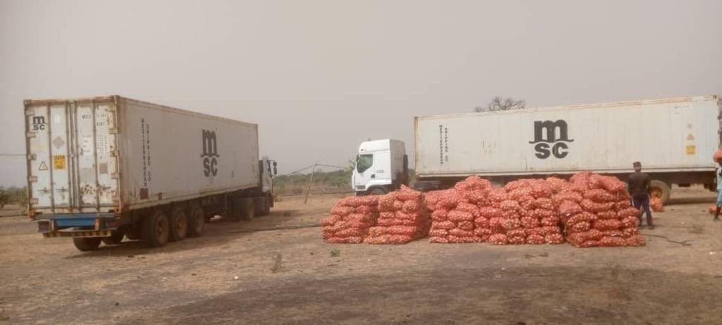 OFallSarr_ITC's tweet image. Et c’est parti! Première opération de commercialisation de 🧅 du 🇸🇳 sur le marché 🇪🇺par la société coopérative de #Pout mise en place par @ITCnews, avec #PACAO #Sénégal financé par #UE.
@ADiallo_ITC @WACOMP_ECOWAS @eu_eeas @UEauSenegal @EUAmbSenegal @Macky_Sall @Commerce_sn