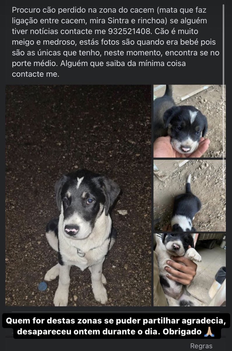 Quem puder partilhar para ajudar agradecia🙏🏼, ainda é bebé tem 6 meses e tenho receio que lhe façam mal.