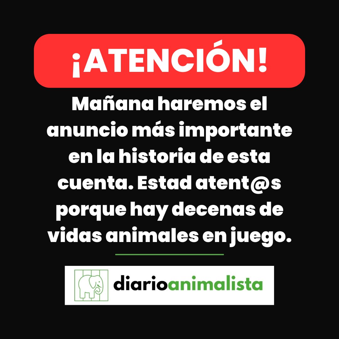 Atención‼️ Mañana anunciaremos algo muy importante en lo que llevamos meses trabajando. Hay decenas de vidas animales en juego y vamos a necesitar ayuda, así que, por favor, estad atent@s a nuestras próximas publicaciones 👀🙏