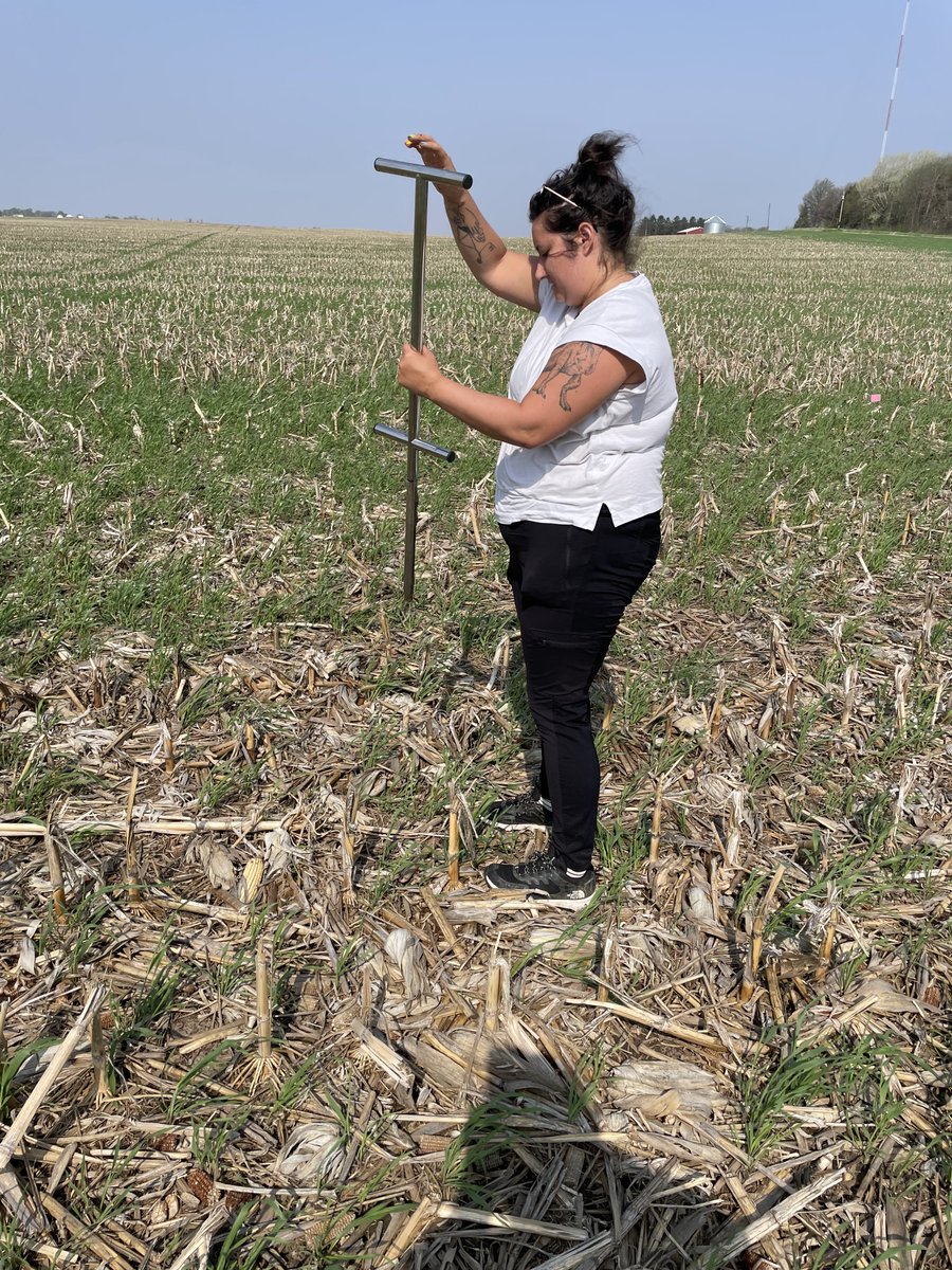 Dr. Alison Marklein tweet media