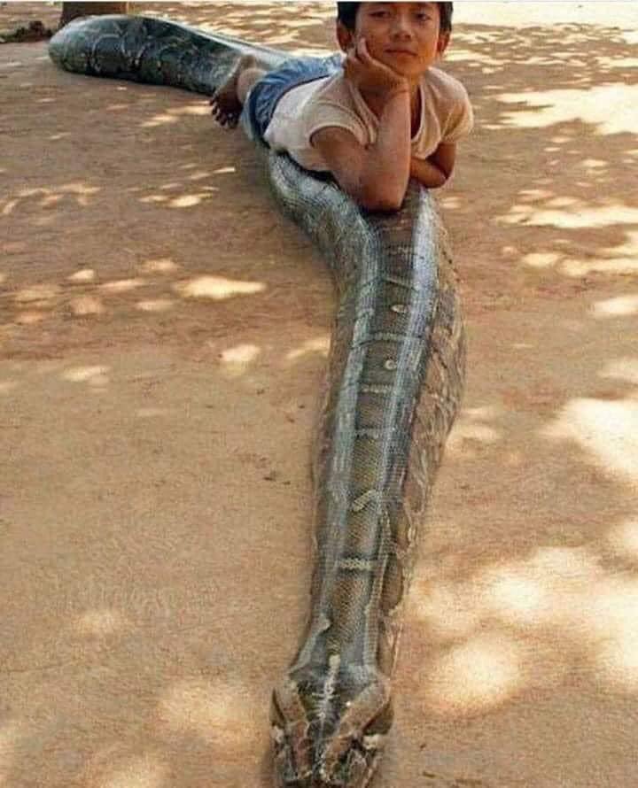 _xmemes's tweet photo. Quando a pessoa tá sendo falsa comigo e acha que eu não sei 😌 https://t.co/wDhziwo2k9