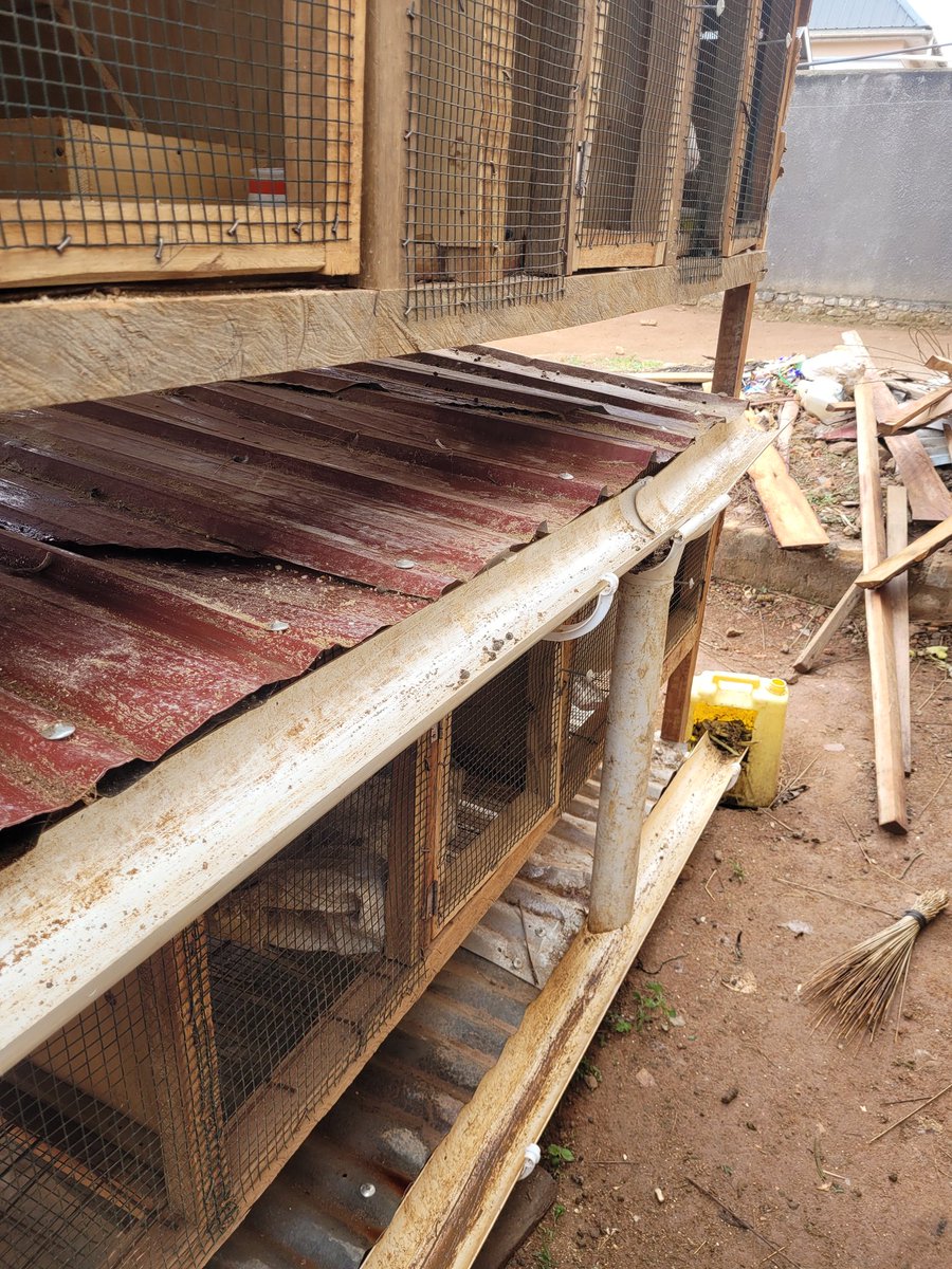 RobHavard1's tweet image. Wow. KAASO, An orphanage/school and farm in Uganda run by the incomparable Dominic and Rose Mukwaya. Over 700 children learn to read and write here, while building community with the teachers and local people involved in the enterprises. We can learn so much from this. Amazing.