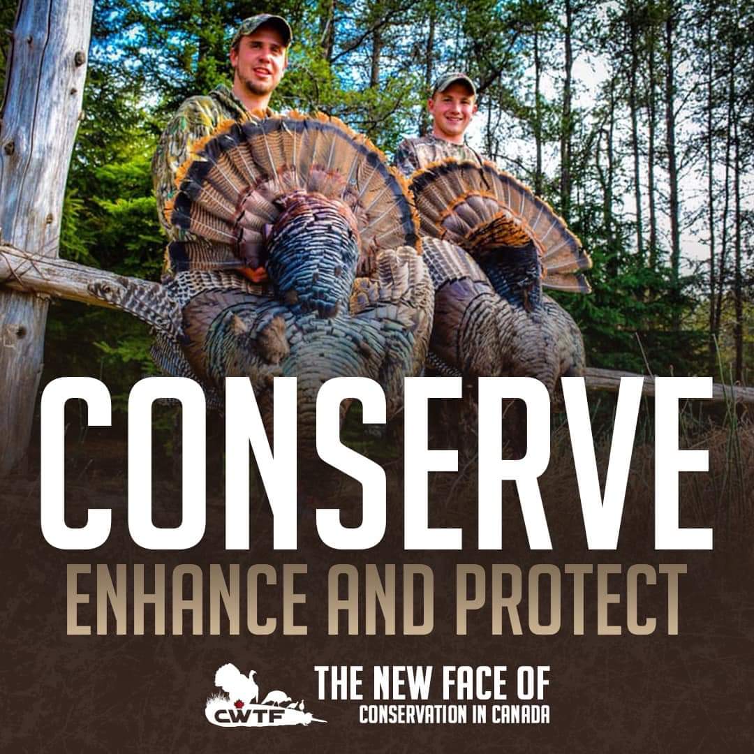 Canadian Wild Turkey Federation tweet media